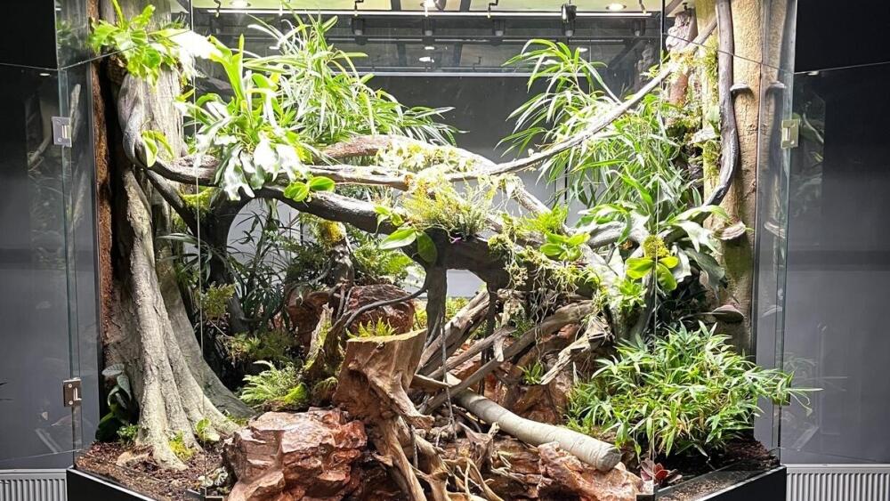 Paludárium, foto: Zoo Liberec